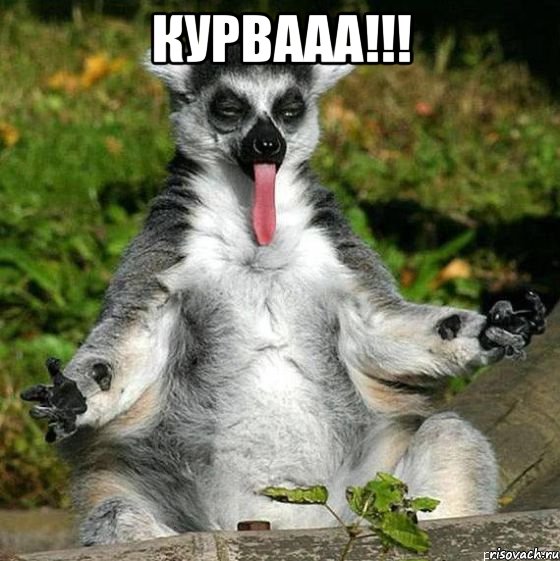 курвааа!!! , Мем упоротый
