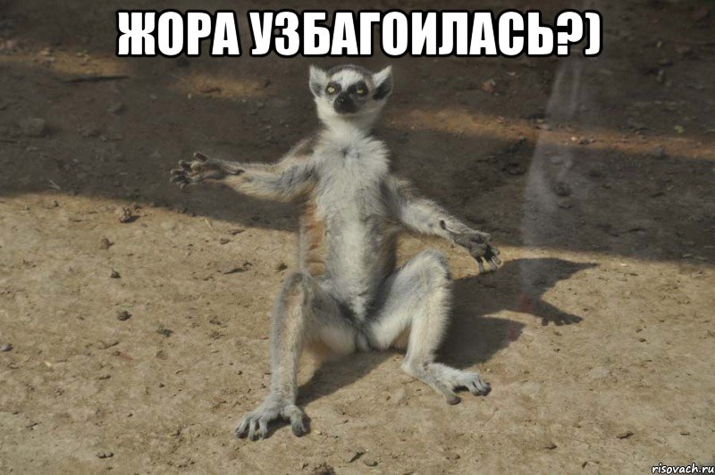Жора узбагоилась?) 