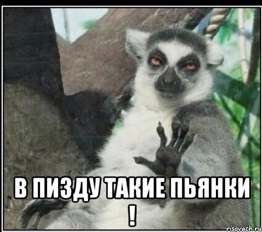  в пизду такие пьянки !