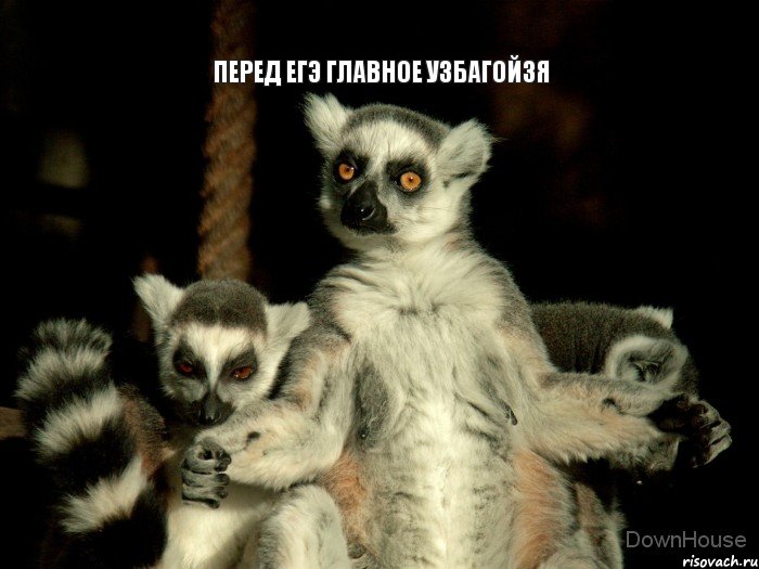 перед ЕГЭ главное УЗБАГОЙЗЯ