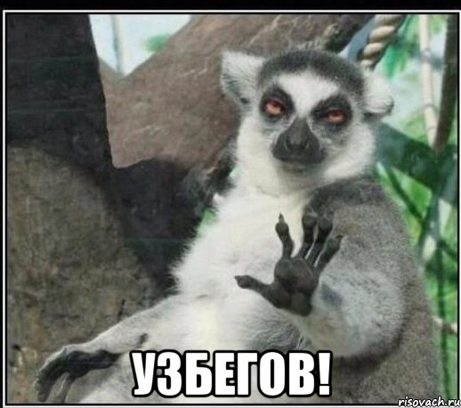  Узбегов!, Мем Все будет збагойно