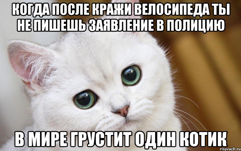 КОГДА ПОСЛЕ КРАЖИ ВЕЛОСИПЕДА ТЫ НЕ ПИШЕШЬ ЗАЯВЛЕНИЕ В ПОЛИЦИЮ В МИРЕ ГРУСТИТ ОДИН КОТИК, Мем  В мире грустит один котик