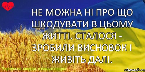 не можна ні про що шкодувати в цьому житті. сталося - зробили висновок і живіть далі., Комикс ваивит