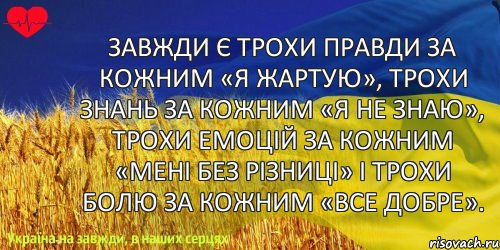 Завжди є трохи правди за кожним «Я жартую», трохи знань за кожним «Я не знаю», трохи емоцій за кожним «Мені без різниці» і трохи болю за кожним «Все добре»., Комикс ваивит