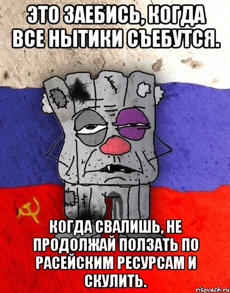 это заебись, когда все нытики съебутся. когда свалишь, не продолжай ползать по расейским ресурсам и скулить., Мем Ватник