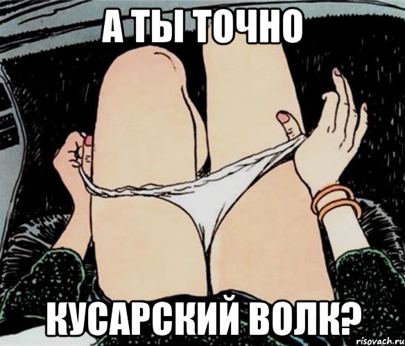 А ты точно Кусарский волк?