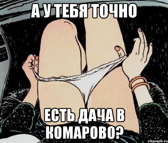 А у тебя точно Есть дача в Комарово?