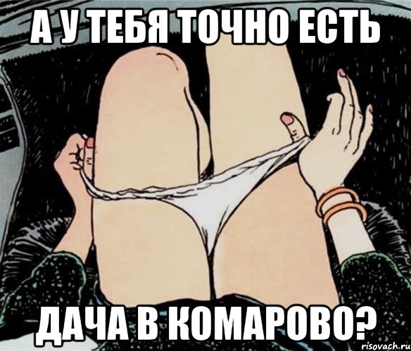 А у тебя точно есть дача в Комарово?