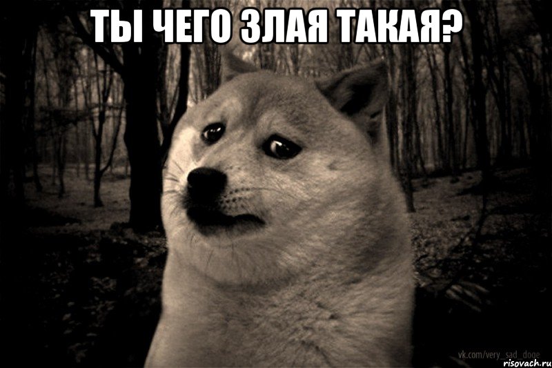 ты чего злая такая? 