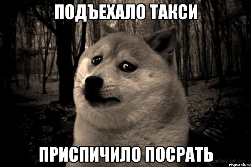 подъехало такси приспичило посрать