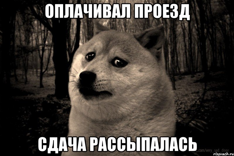 оплачивал проезд сдача рассыпалась