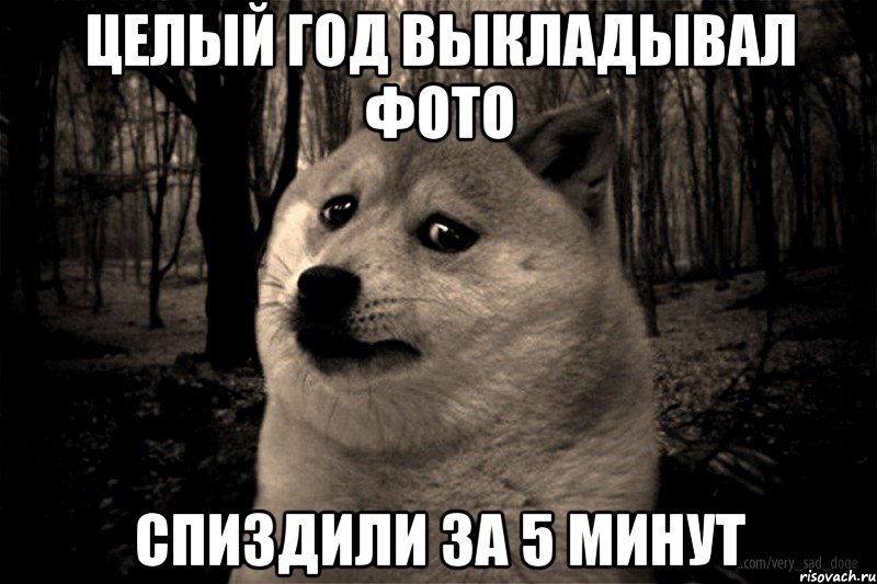 целый год выкладывал фото спиздили за 5 минут