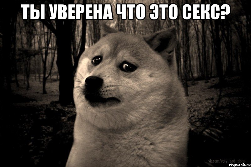 ты уверена что это секс? 
