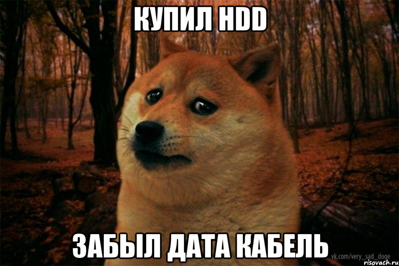 купил HDD забыл дата кабель, Мем SAD DOGE