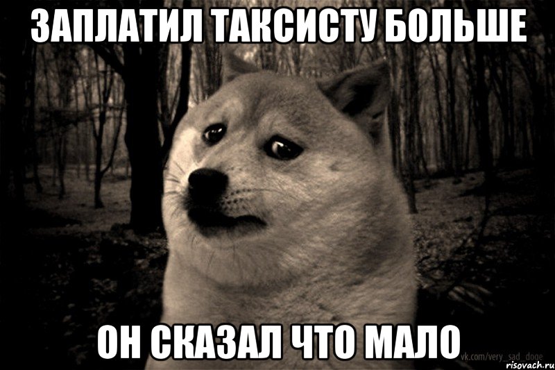 заплатил таксисту больше он сказал что мало