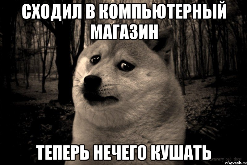 сходил в компьютерный магазин теперь нечего кушать