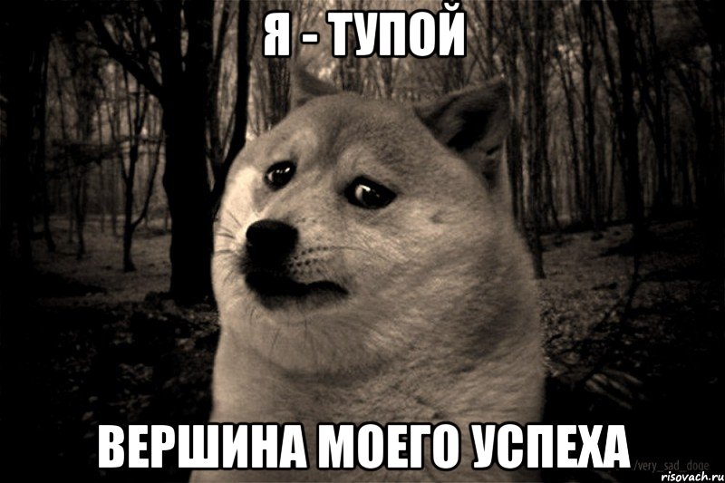 я - тупой вершина моего успеха