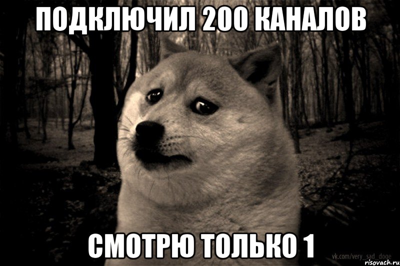 подключил 200 каналов смотрю только 1