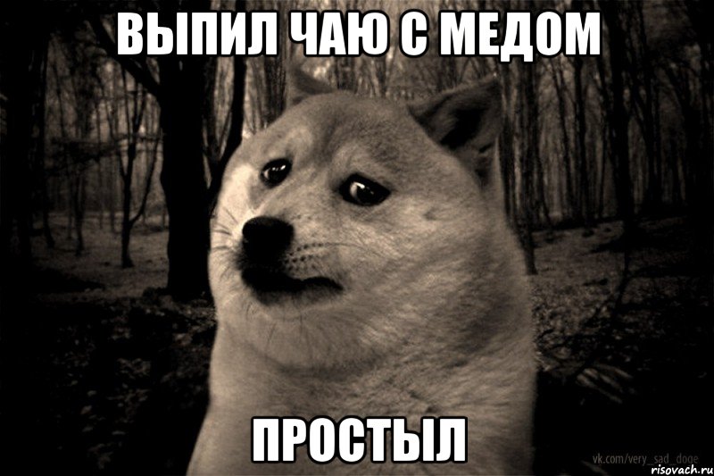 выпил чаю с медом простыл