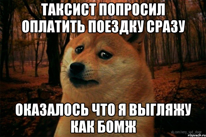 таксист попросил оплатить поездку сразу оказалось что я выгляжу как бомж, Мем SAD DOGE