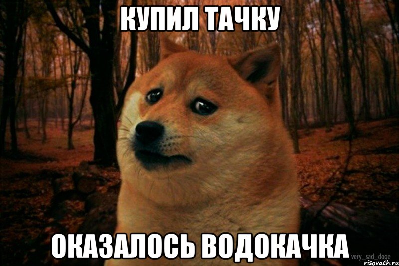 купил тачку оказалось водокачка, Мем SAD DOGE