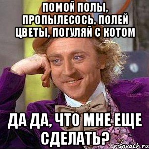 помой полы, пропылесось, полей цветы, погуляй с котом да да, что мне еще сделать?
