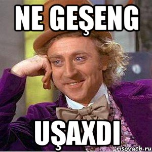 ne geşeng uşaxdi, Мем Ну давай расскажи (Вилли Вонка)