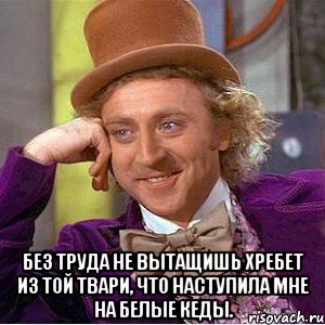  БЕЗ ТРУДА НЕ ВЫТАЩИШЬ хребет из той твари, что наступила мне на белые кеды., Мем Ну давай расскажи (Вилли Вонка)