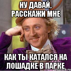 Ну давай, расскажи мне Как ты катался на лошадке в парке, Мем Ну давай расскажи (Вилли Вонка)