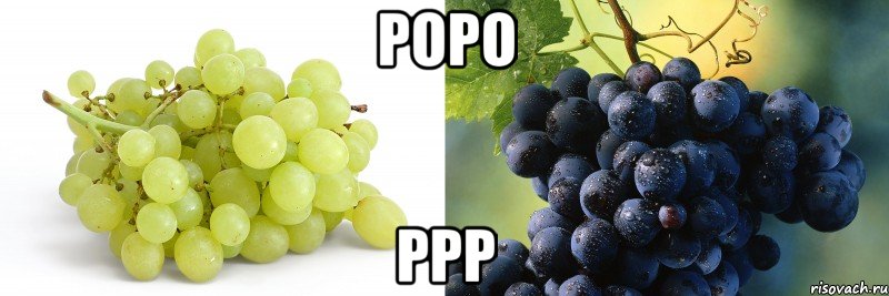 роро ррр