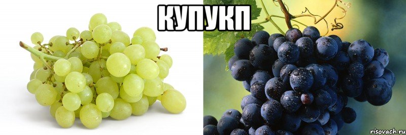 купукп 