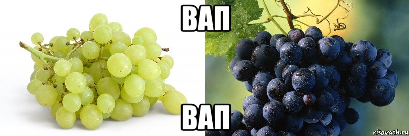 вап вап