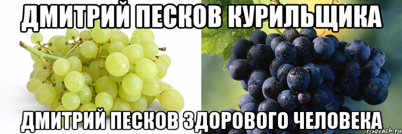 Дмитрий Песков курильщика Дмитрий Песков здорового человека