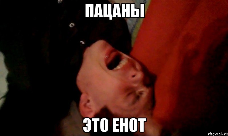 пацаны это енот