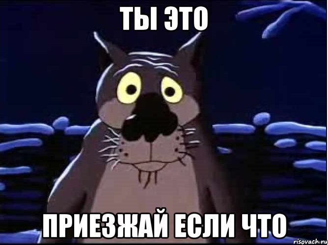 Ты это Приезжай если что, Мем волк