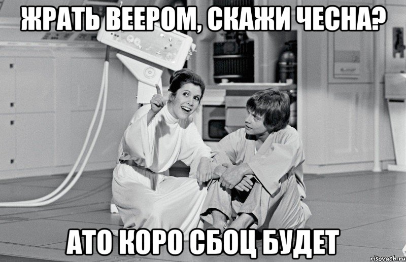 жрать веером, скажи чесна? ато коро сбоц будет
