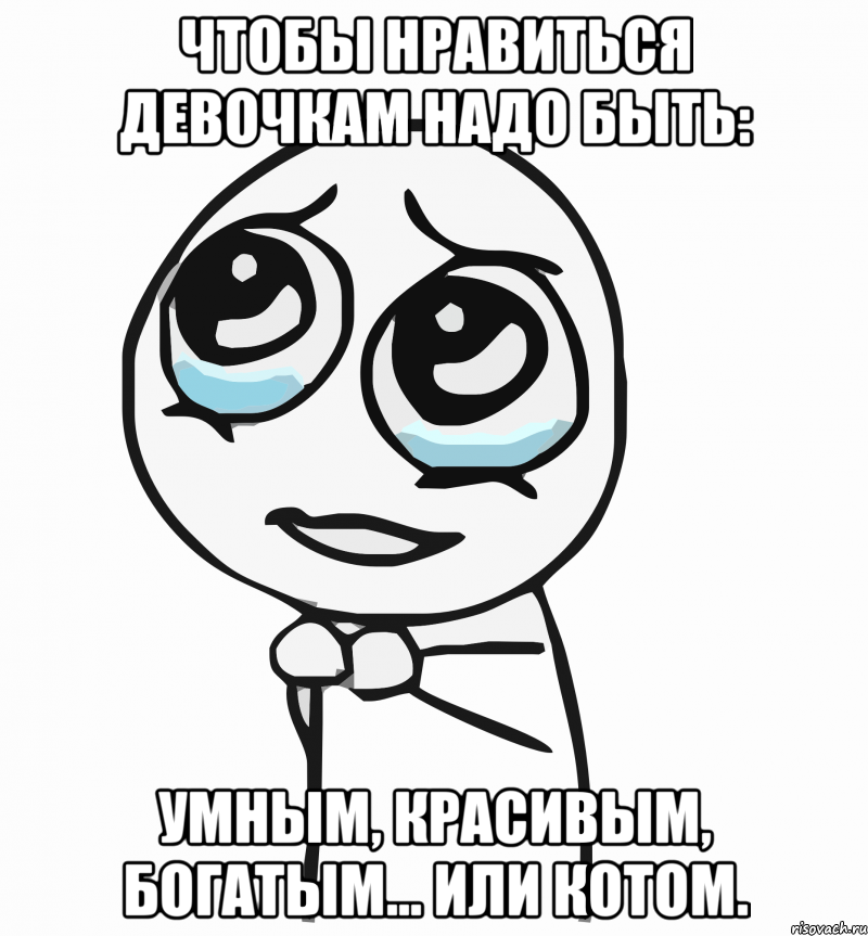 Чтобы нравиться девочкам надо быть: умным, красивым, богатым... или котом., Мем  ну пожалуйста (please)