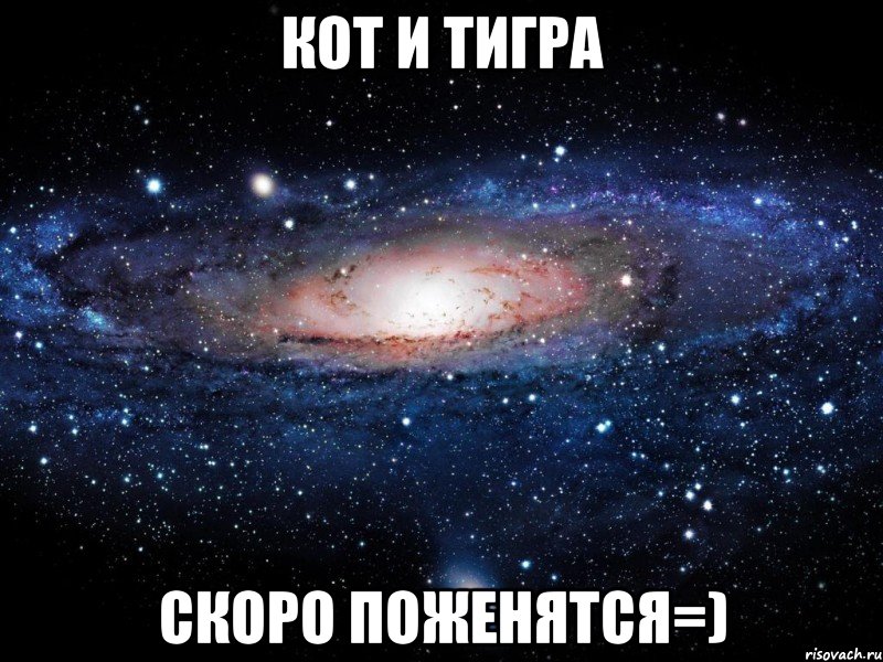 Кот и Тигра скоро поженятся=), Мем Вселенная