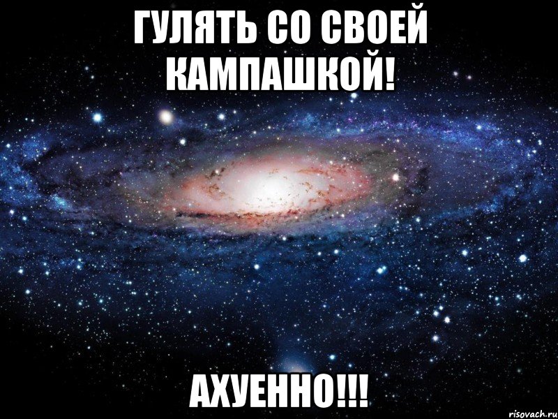 гулять со своей кампашкой! ахуенно!!!, Мем Вселенная