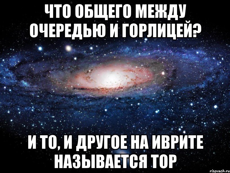 Что общего между ОЧЕРЕДЬЮ и ГОРЛИЦЕЙ? И то, и другое на иврите называется ТОР, Мем Вселенная