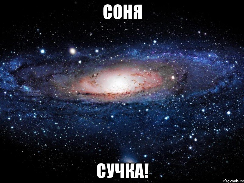 Соня Сучка!, Мем Вселенная