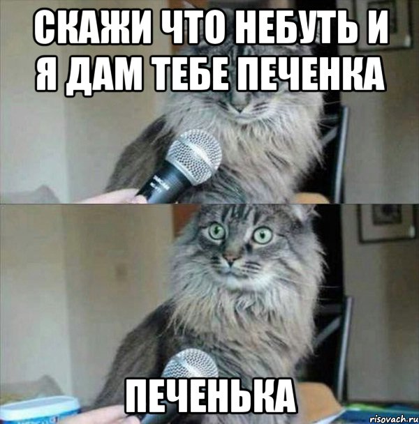 скажи что небуть и я дам тебе печенка печенька