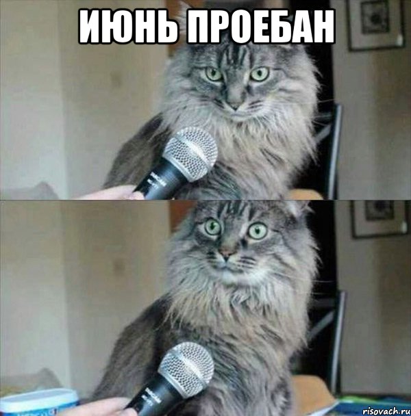 Июнь проебан 