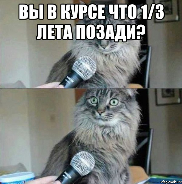 Вы в курсе что 1/3 лета позади? 