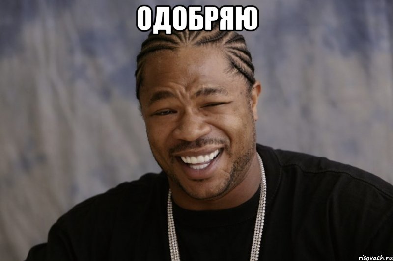 одобряю , Мем Xzibit