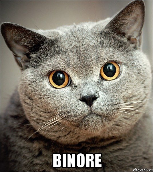  BinOre, Мем  ы