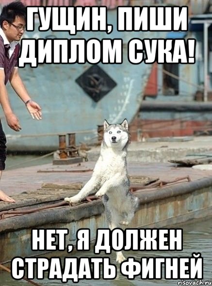 Гущин, пиши диплом сука! Нет, я должен страдать фигней