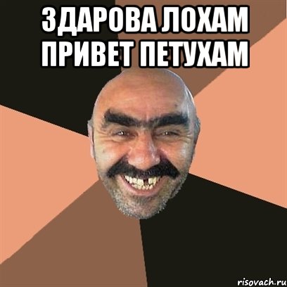 здарова лохам привет петухам , Мем Я твой дом труба шатал