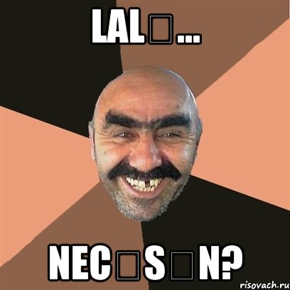Lalə... necəsən?, Мем Я твой дом труба шатал
