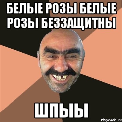 Белые розы белые розы беззащитны ШПЫЫ, Мем Я твой дом труба шатал